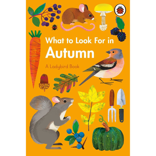 A Ladybird Book: What To Look For In Autumn