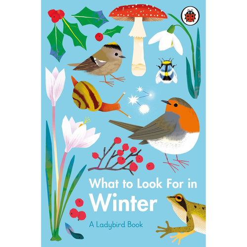 A Ladybird Book: What To Look For In Winter