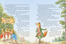 Load image into Gallery viewer, Peter Rabbit: Christmas Is Coming Advent Book