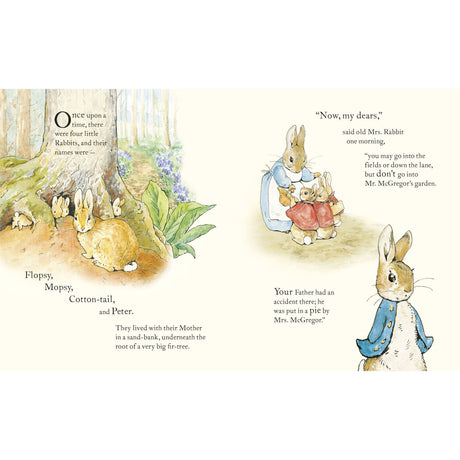 The Tale Of Peter Rabbit