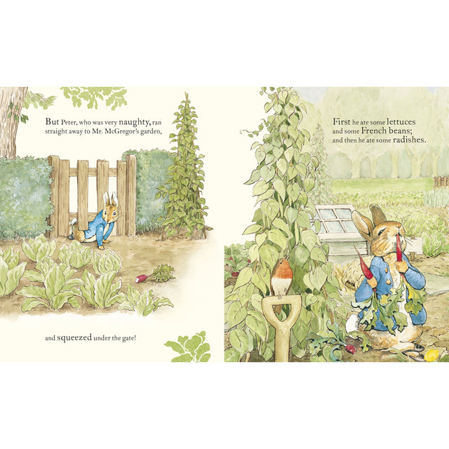 The Tale Of Peter Rabbit