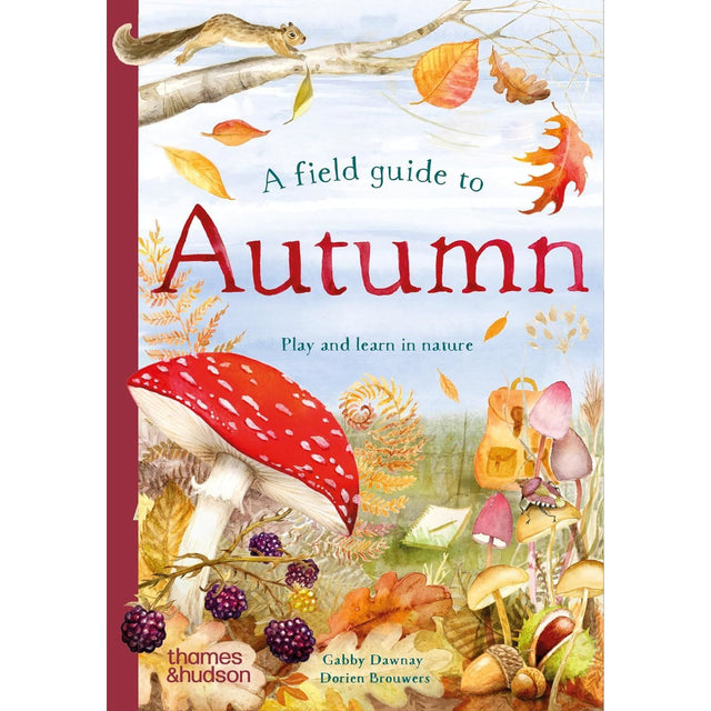 Field Guide to Autumn Book