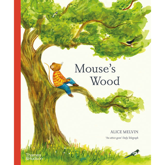 Mouses Wood: A Year In Nature