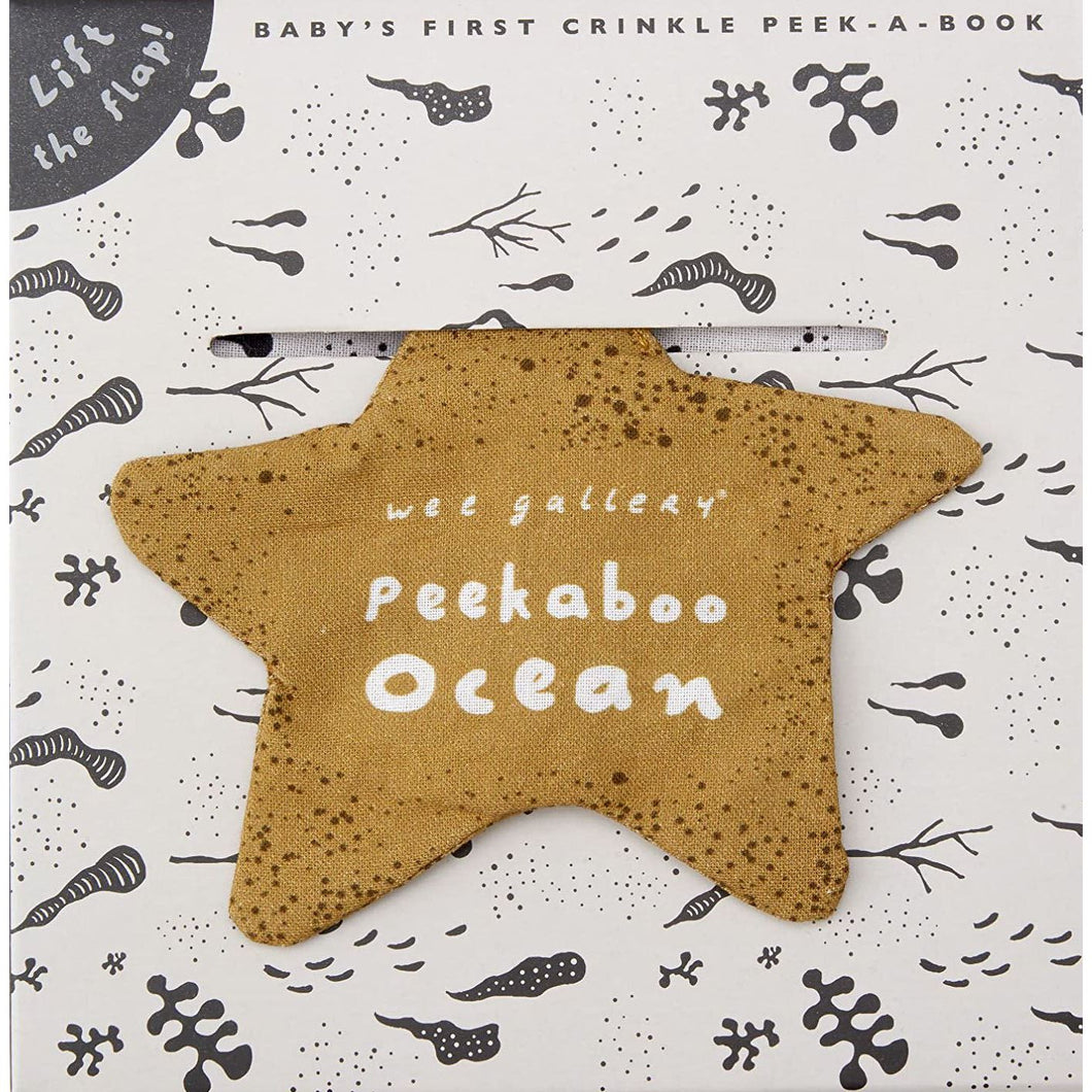 Peekaboo Ocean Soft Book