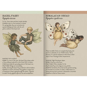 Find The Fairies Memory Game