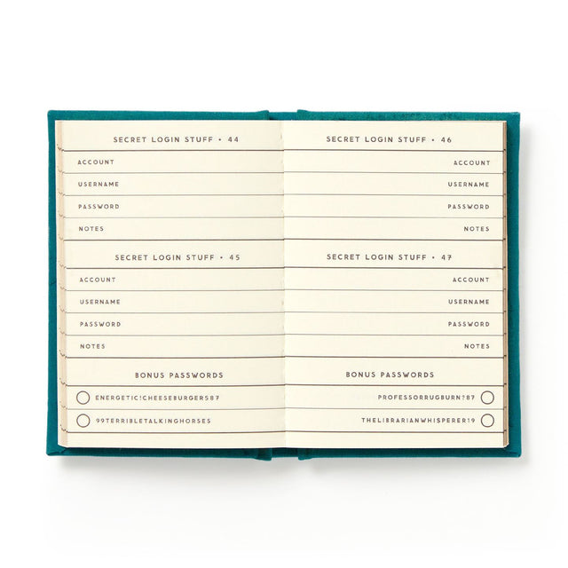 Definitely Not My Passwords Mini Notebook