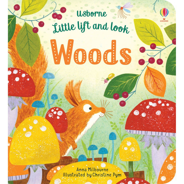 Little Lift And Look: Woods