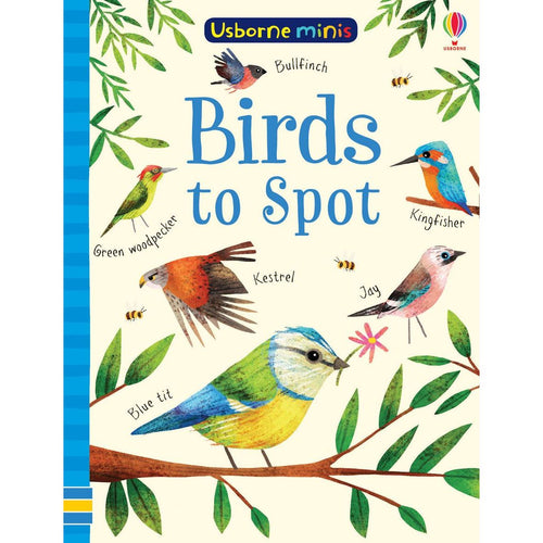 Usborne Minis: Birds To Spot