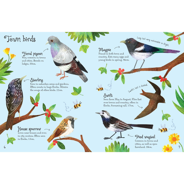 Usborne Minis: Birds To Spot
