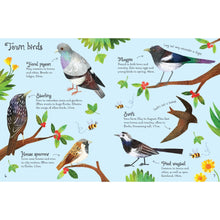 Load image into Gallery viewer, Usborne Minis: Birds To Spot