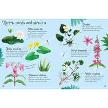 Load image into Gallery viewer, Usborne Minis: Flowers To Spot