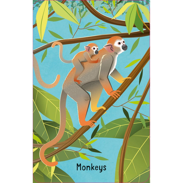 Animal Snap