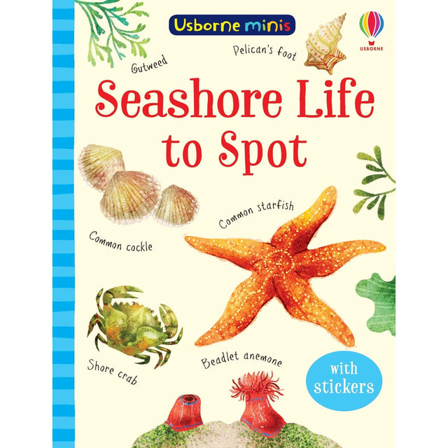 Usborne Minis: Seashore Life To Spot