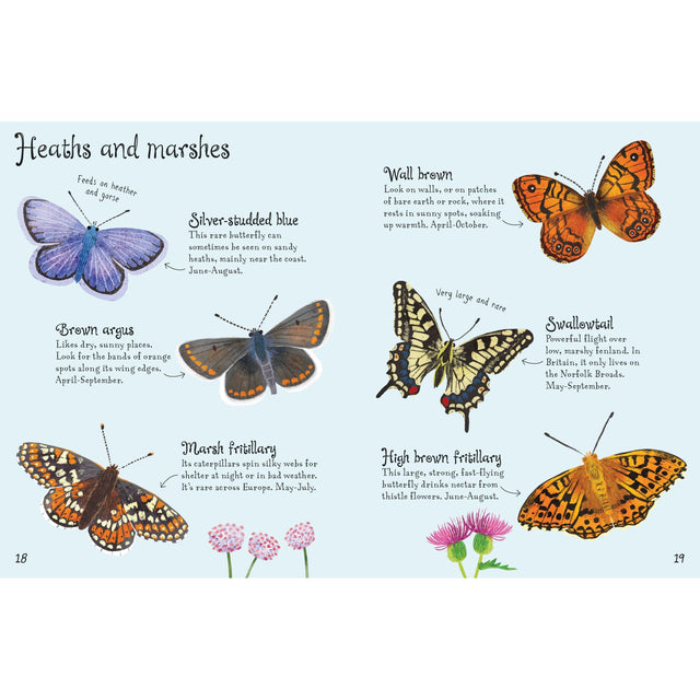Usborne Minis: Butterflies To Spot