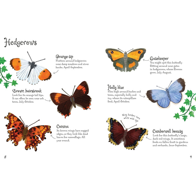 Usborne Minis: Butterflies To Spot