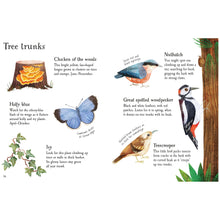 Load image into Gallery viewer, Usborne Minis: Bugs To Spot