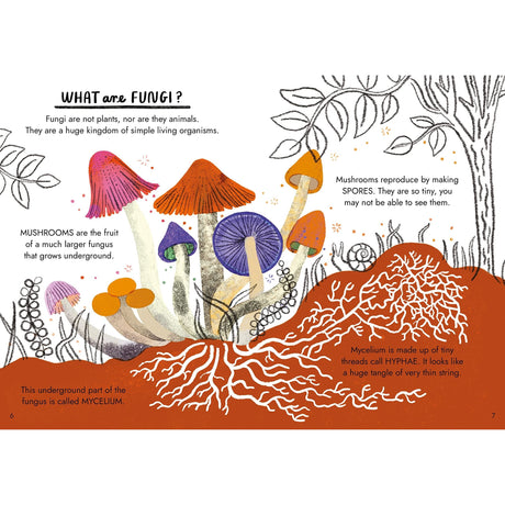 Hello Fungi: A Little Guide To Nature