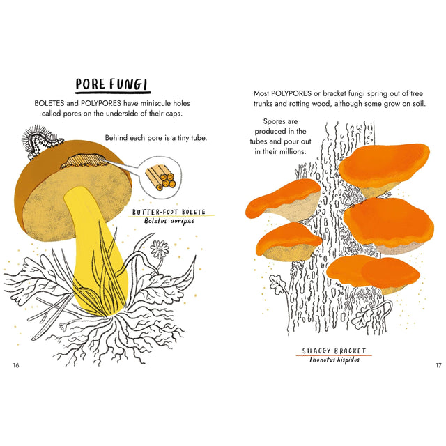 Hello Fungi: A Little Guide To Nature