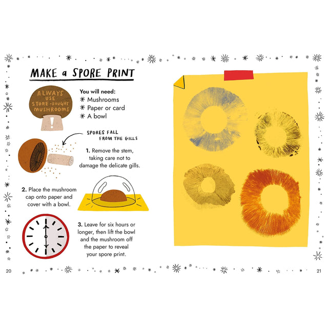Hello Fungi: A Little Guide To Nature