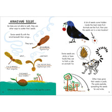 Load image into Gallery viewer, Hello Trees: A Little Guide To Nature