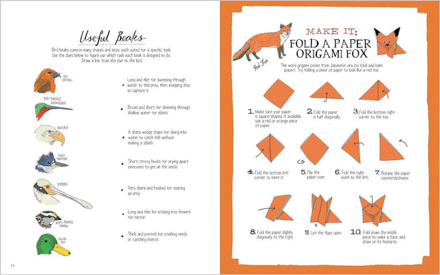 Nature Activity Anatomy Book
