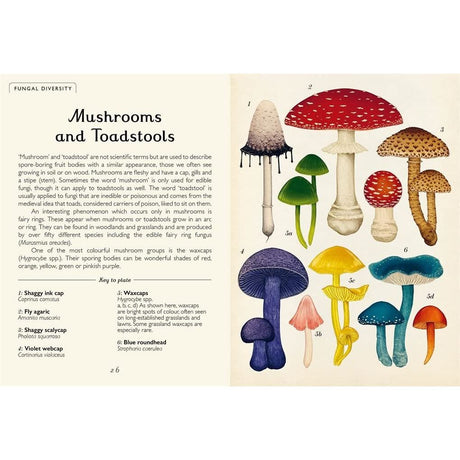 Fungarium