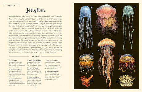 Oceanarium Junior Edition