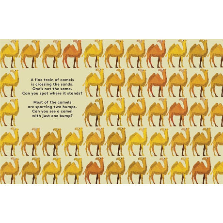 Odd One Out: A Spotting Book
