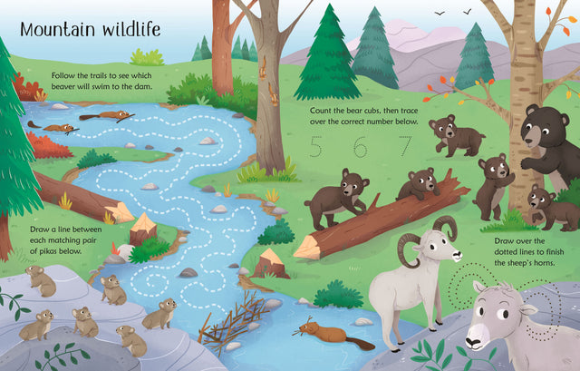 Wipe Clean Nature Activities