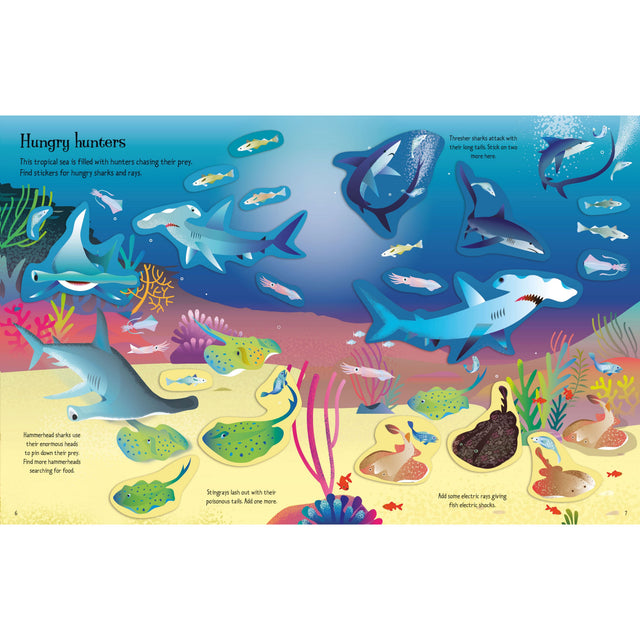 First Sticker Book: Sharks & Rays