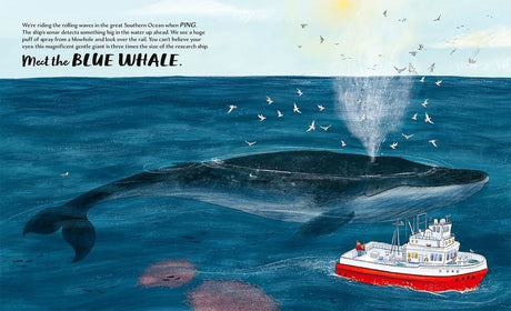 Meet The Whales