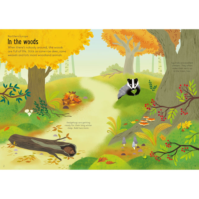 Little First Stickers: Nature