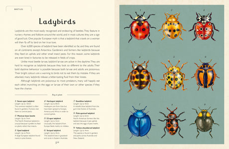 Insectarium Junior Edition