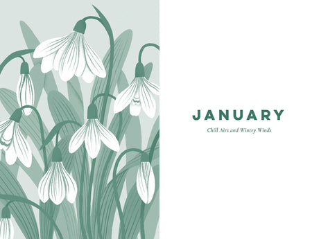 Nature Poem For Everyday Of The Year