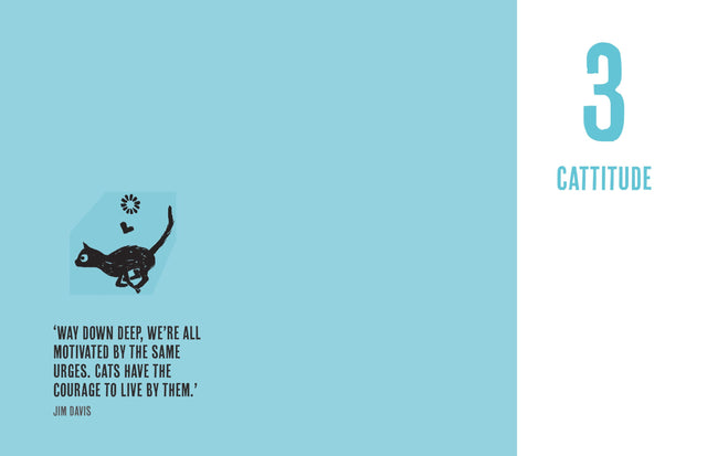 Be More Cat