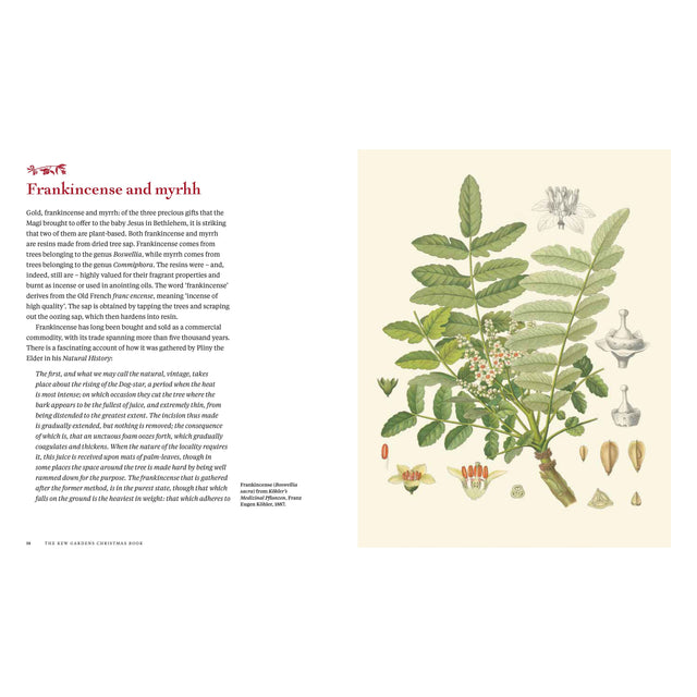 The Kew Gardens Christmas Book