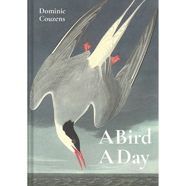 A Bird A Day
