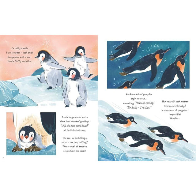 5 Minute Ocean Stories