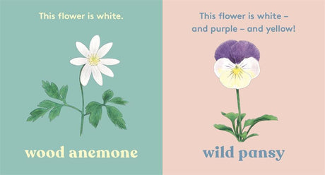Look! A Flower
