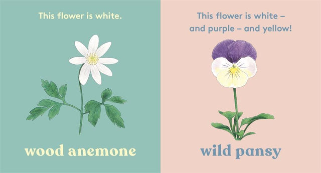 Look! A Flower
