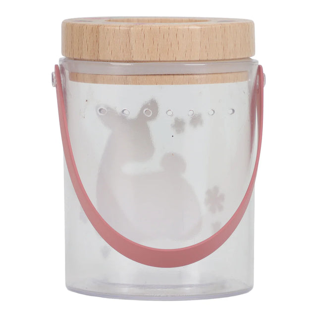 Fairy Garden Insect Jar