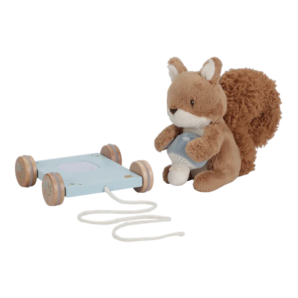 Pull Along Soft Squirrel
