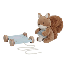 Load image into Gallery viewer, Pull Along Soft Squirrel