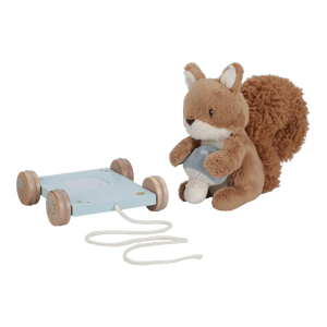 Pull Along Soft Squirrel
