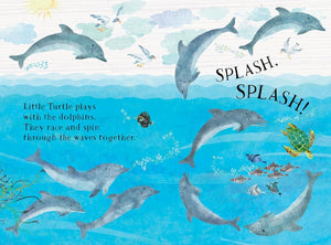 Little Turtles Book Of The Blue