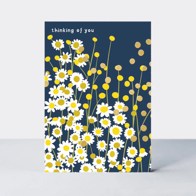 Thinking Of You Daisies Card