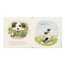 Load image into Gallery viewer, Pick Of The Sticks Book