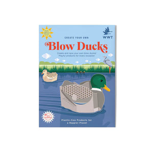 Create Your Own Blow Ducks Game
