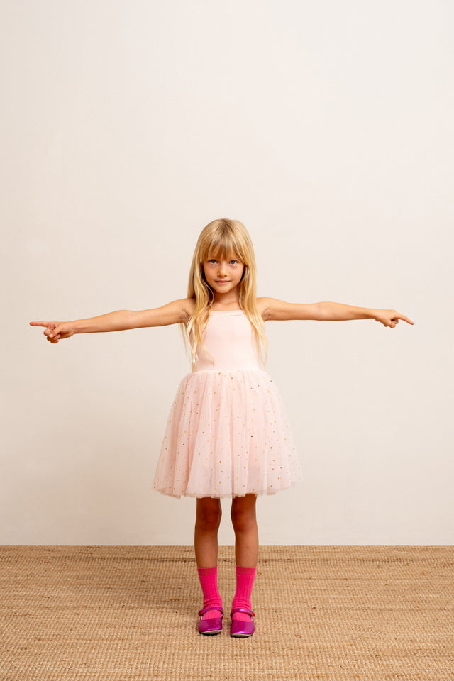 Pale Pink Gold Moon & Stars Ballet Dress