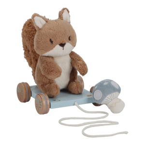 Pull Along Soft Squirrel
